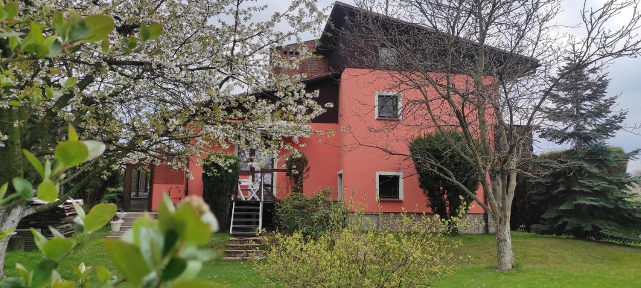 Za Gorami, Za Lasami Mysłakowice Dış mekan fotoğraf